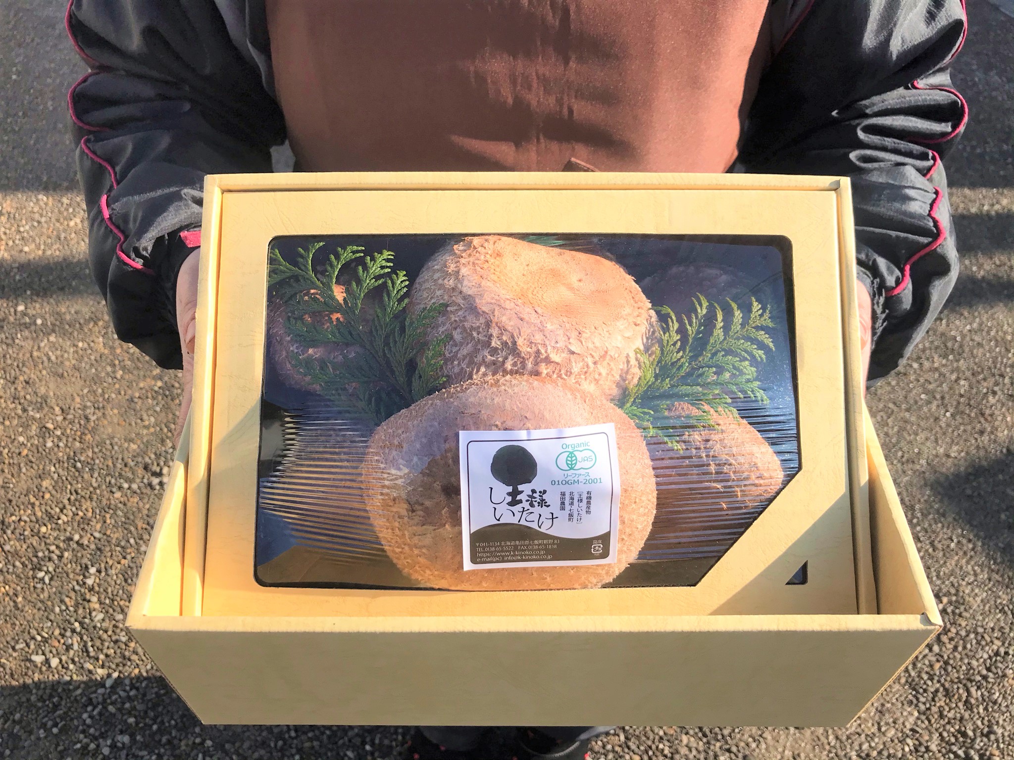 送料込み 王様しいたけ ギフト 有限会社 福田農園